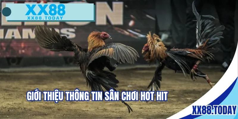 Giới thiệu thông tin sân chơi hot hit