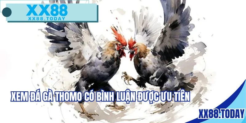 Nhiều người lựa chọn xem đá gà Thomo có bình luận viên